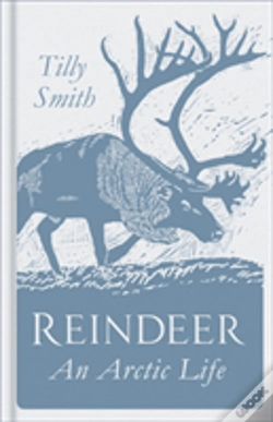 Capa do artigo Reindeer