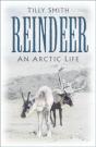 Reindeer - Preview