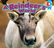 Capa do artigo Reindeer