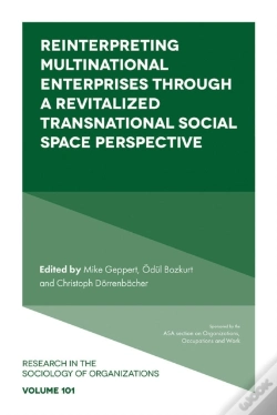 Capa do artigo Reinterpreting Multinational Enterprises Through A Revitalized Transnational Social Space Perspective