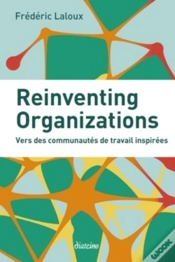 Capa do artigo Reinventing Organizations ; Vers Des Communautés De Travail Inspirées