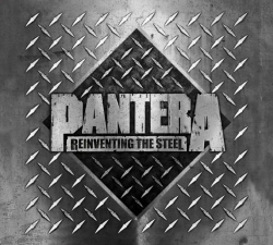 Capa do artigo Reinventing the Steel - CD
