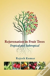 Capa do artigo Rejuvenation In Fruit Trees