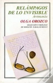 Capa do artigo Relampagos De Lo Invisible. Antologia