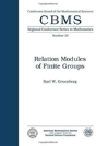 Relation Modules Of Finite Groups - Preview