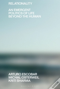 Capa do artigo Relationality
