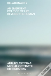 Capa do artigo Relationality