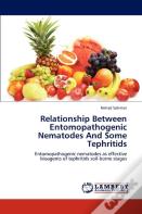 Relationship Between Entomopathogenic Nematodes And Some Tephritids