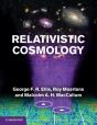 Relativistic Cosmology - Preview