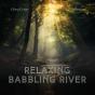 Relaxing Babbling River - Preview