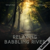 Capa do artigo Relaxing Babbling River