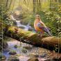 Relaxing River And Dove Melodies - Preview