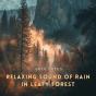 Relaxing Sound Of Rain In Leafy Forest - Preview