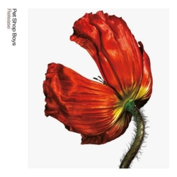 Capa do artigo Release - CD