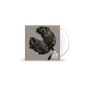 Release - CD - Preview