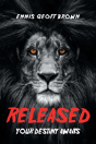 Released - Preview