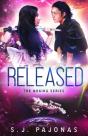 Released - Preview