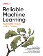 Reliable Machine Learning - Preview