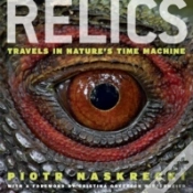 Capa do artigo Relics