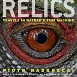 Capa do artigo Relics