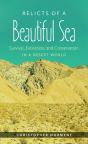 Relicts Of A Beautiful Sea - Preview