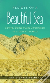 Capa do artigo Relicts Of A Beautiful Sea