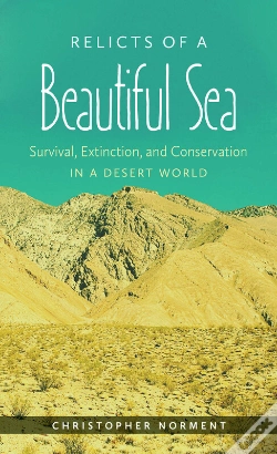 Capa do artigo Relicts Of A Beautiful Sea