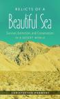 Relicts Of A Beautiful Sea - Preview