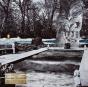 Reluctant Swimmer/Virtual Surfer - Vinil - Preview