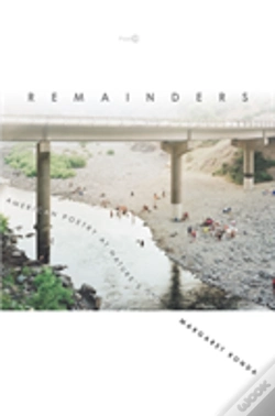 Capa do artigo Remainders