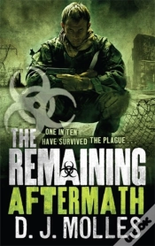 Capa do artigo Remaining: Aftermath