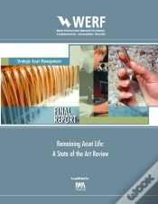 Capa do artigo Remaining Asset Life