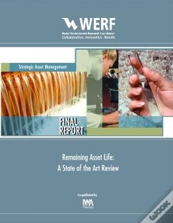 Capa do artigo Remaining Asset Life