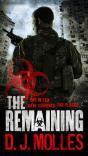 Remaining - Preview