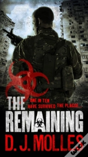 Capa do artigo Remaining