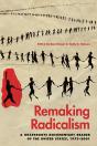 Remaking Radicalism - Preview