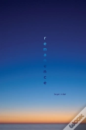 Capa do artigo Remanence