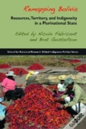 Capa do artigo Remapping Bolivia
