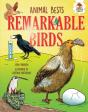 Remarkable Birds - Preview