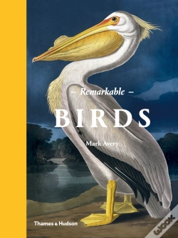 Capa do artigo Remarkable Birds