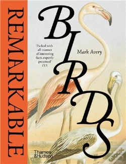 Capa do artigo Remarkable Birds
