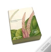 Remarkable Plants: Notecard Box