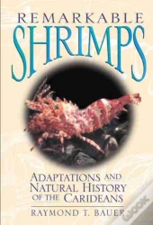 Remarkable Shrimps