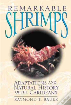 Capa do artigo Remarkable Shrimps