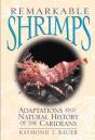 Remarkable Shrimps - Preview