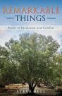 Remarkable Things - Preview