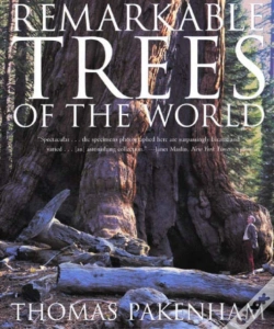 Capa do artigo Remarkable Trees Of The World