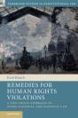 Remedies For Human Rights Violations - Preview