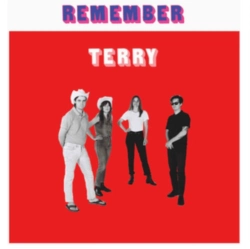 Capa do artigo Remember Terry - CD