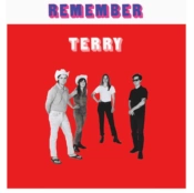 Capa do artigo Remember Terry - Vinil